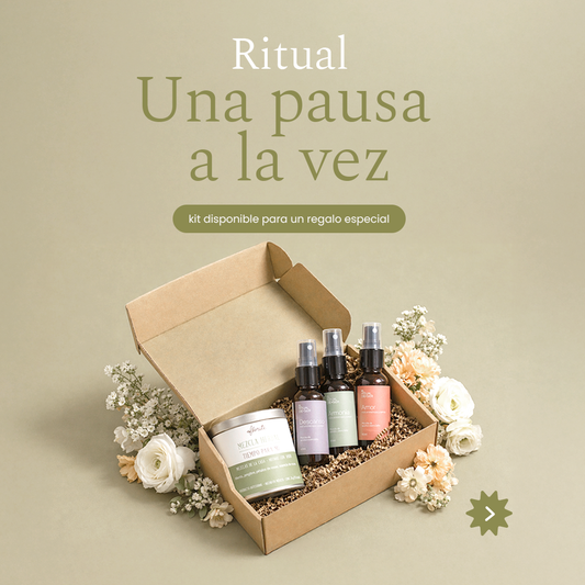 Una Pausa a la Vez